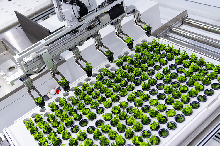 robotics and ai solutions for food processing