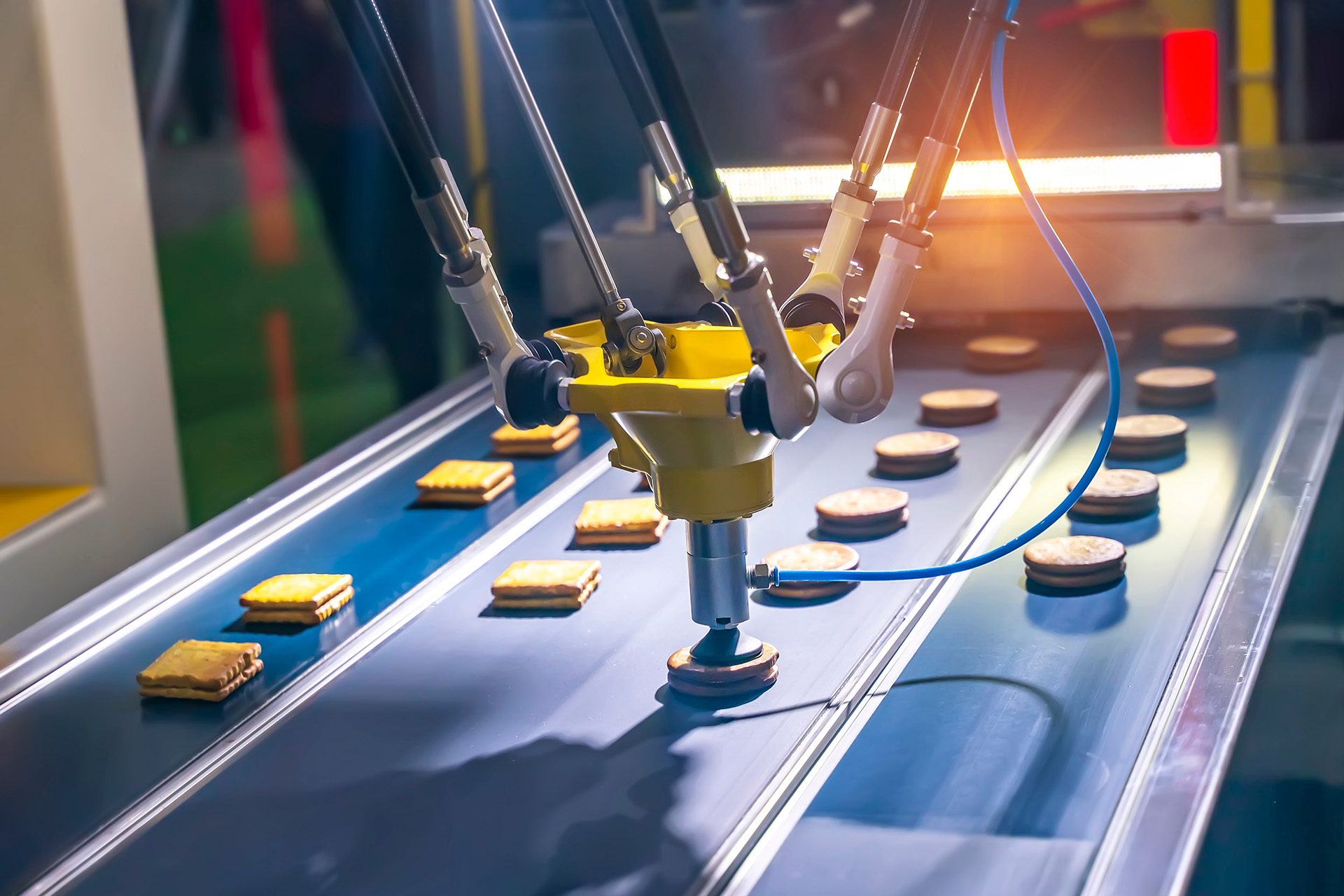robotics and ai for food processing