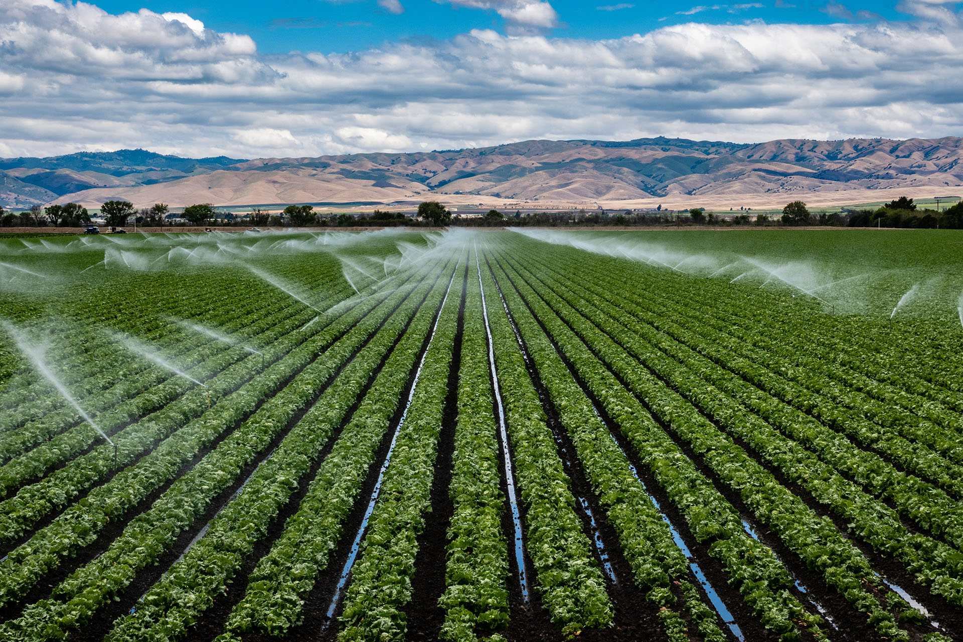 smart ag tech solutions