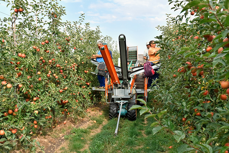 smart ag tech solutions for harvest