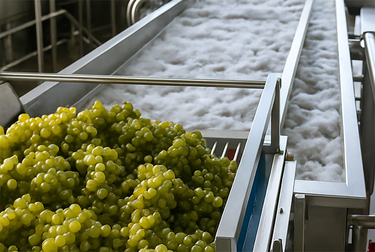 wine grape processing solutions by monterey foodtech